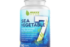 SeaVeggie& comp1
