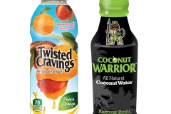 twisted-warrior